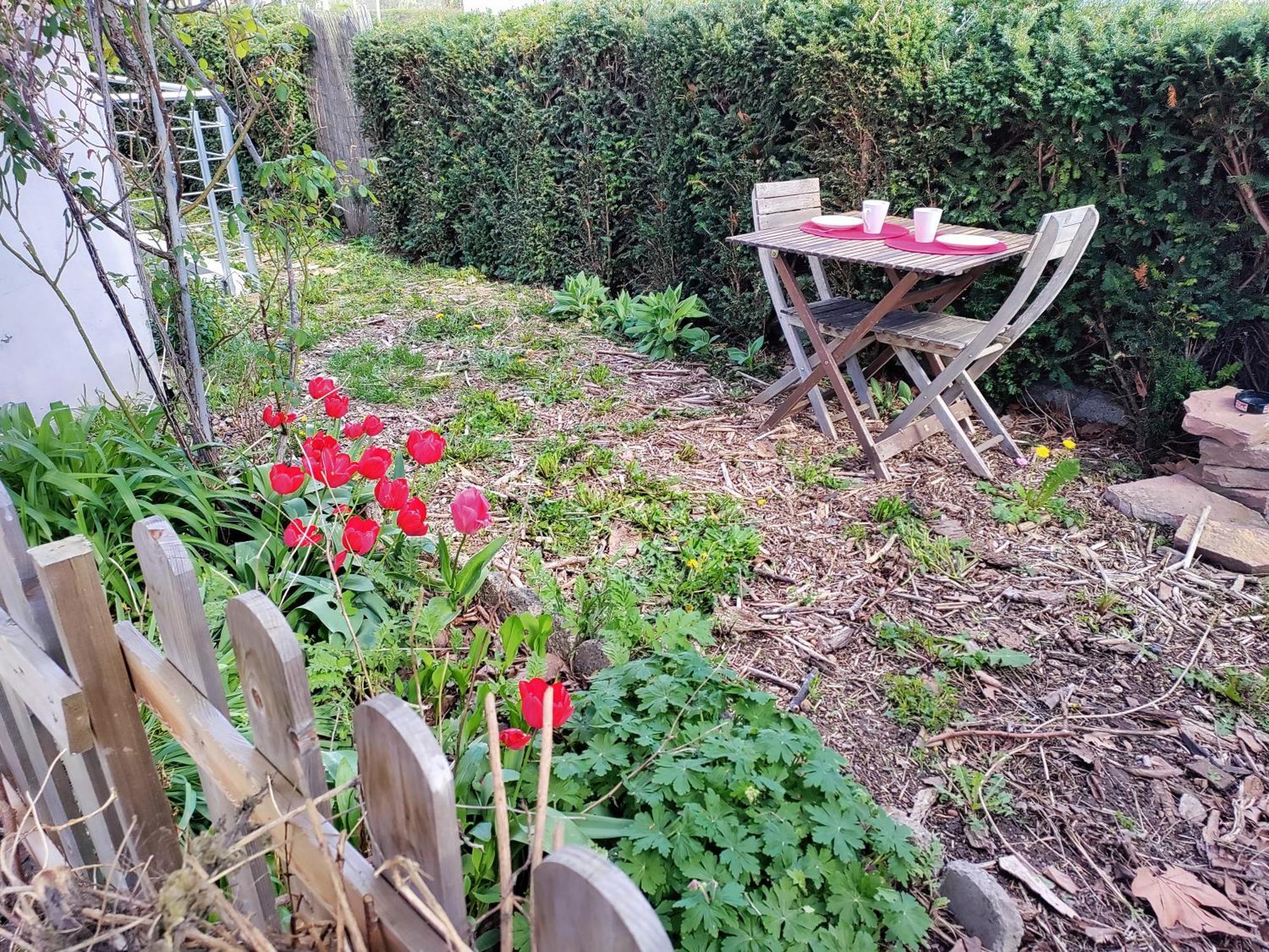Les Coquelicots, Calme, Jardin Apartment Colmar Ngoại thất bức ảnh
